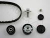 AUTEX 702191 Timing Belt Kit